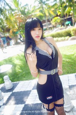 《金花瓶楷梅花2》