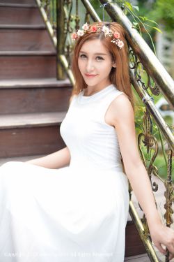 质数的孤独